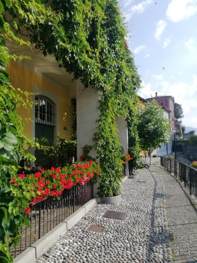 Viewtiful Homestay Stazzona Екстериор снимка